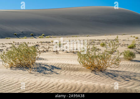Death Valley National Park, the hottest place on Earth. Eureka sand dunes Stock Photo