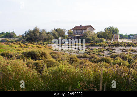 Rural farmhouse on a green countryside landscape in La Camargue wetlands, France Stock Photo