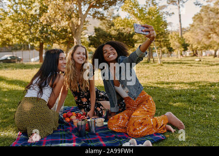 Group of happy diverse three female friends sitting together on blanket over the green grass enjoying at picnic taking selfie on smartphone in the Stock Photo