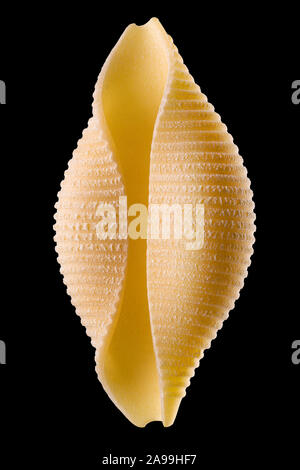 Macro photo of conchiglie pasta shell isolated on black background ...
