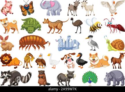 Diverse set of isolated animals on white illustration Stock Vector