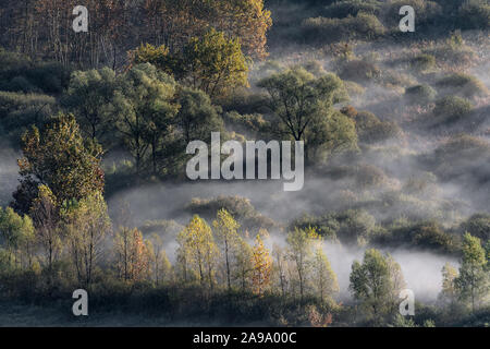 Awesome sunrise over the misty woodland, autumn leaf color Stock Photo