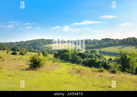 Farthing Downs, part of the South London Downs National Nature Reserve, comprising 121 acres of countryside along the border of Surrey and Croydon, UK Stock Photo