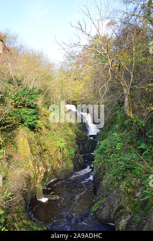 Pecca falls on the river Twiss, Ingleton , North Yorkshire Stock Photo