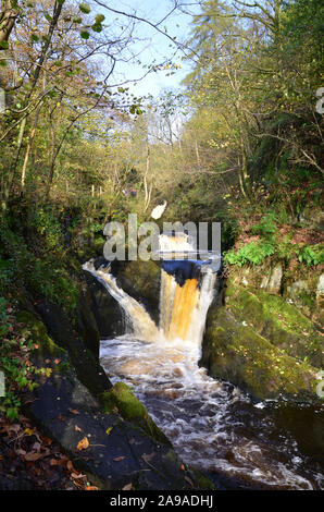 Pecca falls on the river Twiss, Ingleton , North Yorkshire Stock Photo