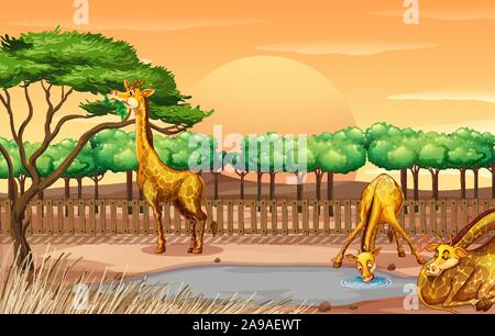 Scene with three giraffes at the zoo illustration Stock Vector
