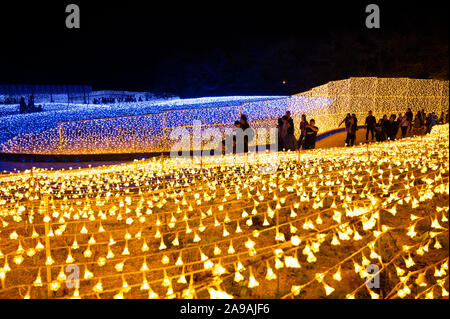 People walking through fields of LED lights shaped like petals. Stock Photo