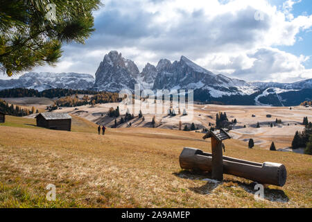 Beautiful autumn scenery in Alpe di Siusi or Seiser Alm with Sassolungo - Langkofel mountain group in background in Dolomite Alps, South Tyrol, Italy. Stock Photo