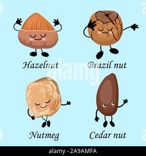 collection of nuts characters. Healthy foods. Vegetarianism and healthy food. Hazelnuts, Brazil nuts, pine nuts, nutmegs.. Stock Vector