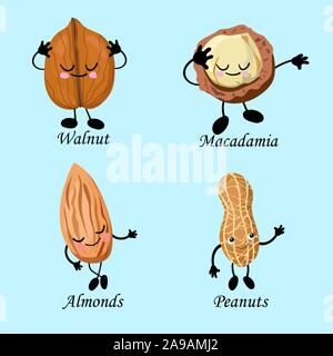 Character set of peanuts, almonds, macadamia and walnuts. Vegan food.. Stock Vector
