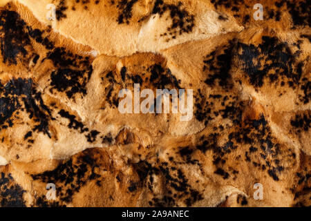 Brown and black leopard pattern. Fur animal print as background. Stock Photo