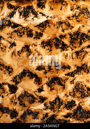 Brown and black leopard pattern. Fur animal print as background. Stock Photo