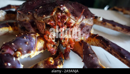 King Crab expedition Finnmark Norway Stock Photo