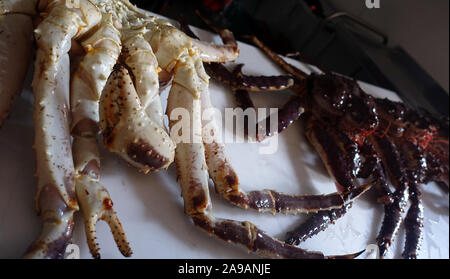 King Crab expedition Finnmark Norway Stock Photo