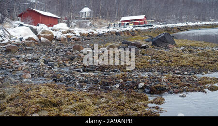 King Crab expedition Finnmark Norway Stock Photo