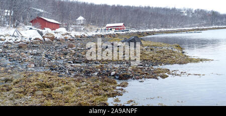 King Crab expedition Finnmark Norway Stock Photo