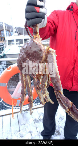 King Crab expedition Finnmark Norway Stock Photo