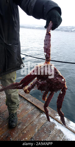 King Crab expedition Finnmark Norway Stock Photo