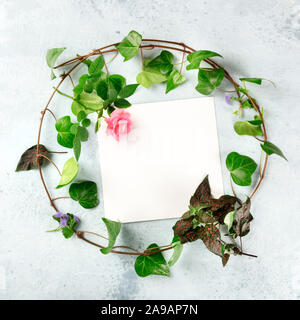 Invitation or greeting card square design template with a flatlay wreath of leaves and flowers, overhead shot with copyspace. Ivy and rose frame Stock Photo