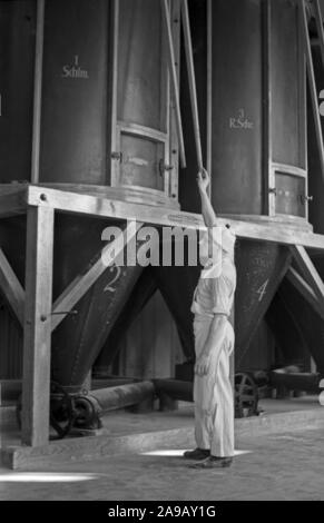 Bakers at their daily business at Schlueterbrot bakeries in Berlin, Germany 1930s. Stock Photo