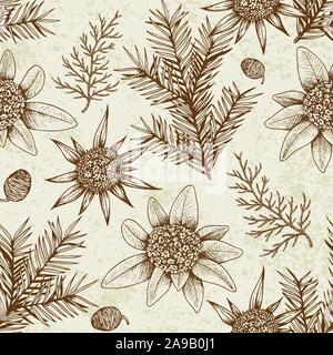 Vintage winter seamless pattern with evergreen plants and flowers. Decorative background for Christmas and new year. Hand drawn vector pattern. Stock Vector