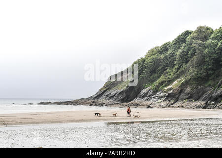 Young environmentalists take part in a wildlife survey and beach clean in Cornwall, outdoor learning organised by Cornwall Wildlife Trust Stock Photo