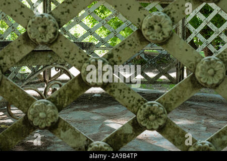 through the gates. iron gates painted white. closeup with selective focus. flowers and details on moss Stock Photo