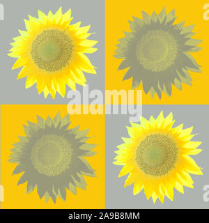 sunflower design in pop art style Stock Photo