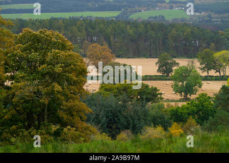 Autumn scenes in the Dornoch Firth Sutherland Scotland UK Stock Photo