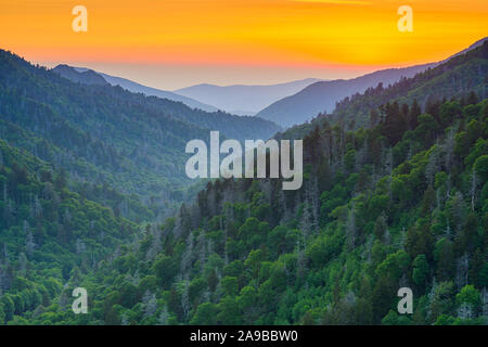 Newfound Gap in the Great Smoky Mountains National Park, straddling the border of Tennessee and North Carolina after sunset in the summer. Stock Photo