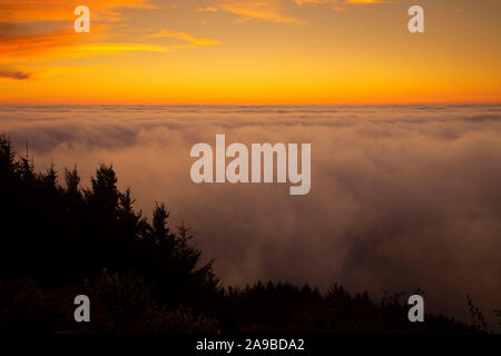 Ocean sunset view with fog, San Sebastian State Park, Oregon Stock Photo
