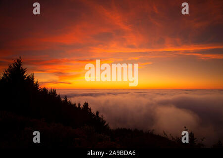 Ocean sunset view with fog, San Sebastian State Park, Oregon Stock Photo
