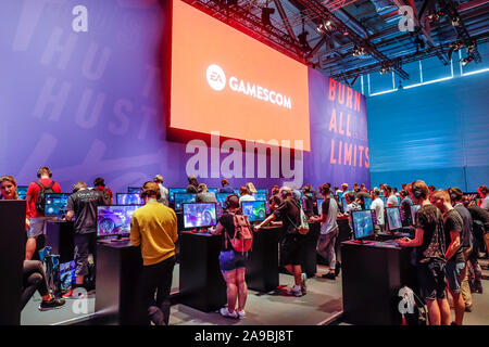 20.08.2019, Cologne, North Rhine-Westphalia, Germany - Gamescom, trade fair visitors play the computer game NFS Heat, racing game Need for Speed Heat Stock Photo