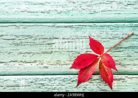 Autumn leave against wooden background Stock Photo