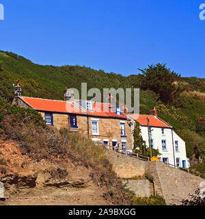Cottages on top of the cliff overlooking Staithes Harbour on the North Yorkshire Coast Stock Photo