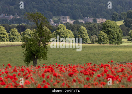 Beautiful red poppies set in the Derbyshire countryside with Chatsworth House in the distance, Baslow, Derbyshire Peak District, England, UK