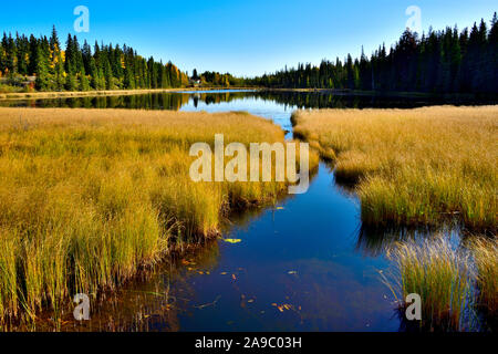 An autumn landscape image of Maxwell lake located in Hinton Alberta Canada Stock Photo