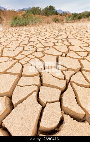 Trockene Erde in Israel, Naher Osten, Ernteausfall, Trockenheit, Klimaänderung, Stock Photo