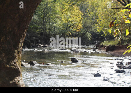The Eno River flowing through a forest in Eno River State Park, North Carolina, USA Stock Photo