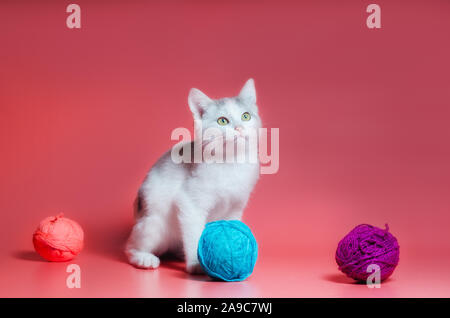 little kitten with multi-colored balls of woolen threads on a pink background Stock Photo