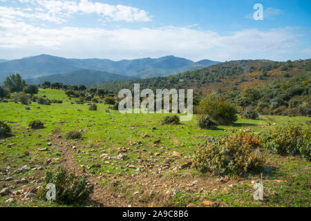 Landscape. Sierra Norte Nature Reserve, Guadalajara province, Castilla La Mancha, Spain. Stock Photo