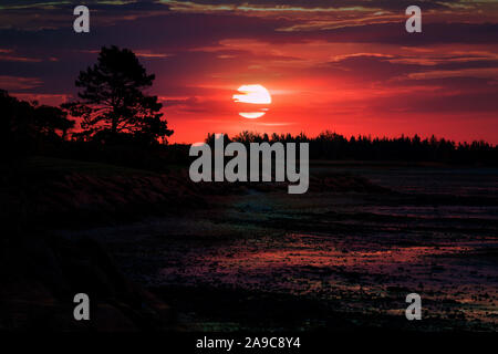 Sunset over the shore at low tide. Stock Photo