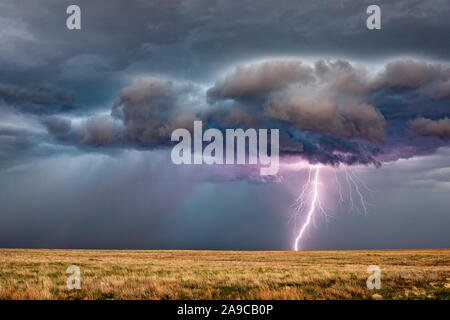 A powerful lightning bolt strike from dark storm clouds over a field near Haswell, Colorado, USA Stock Photo