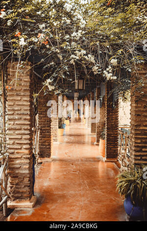 Detail of Majorelle Gardens in Marrakech Stock Photo