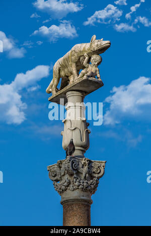 Column with Capitoline Wolf and with Romulus and Remus sculpture in front of Siena Cathedral, Tuscany, Italy Stock Photo