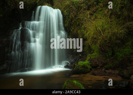 River Water in Forest, Rocky River Side Stock Photo - Image of grass,  scenery: 165302448