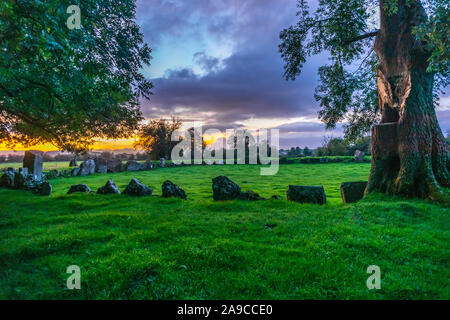 sunrise, an ancient standing stone circle, in green field, framed by a large tree on either side, with golden sky in the background Stock Photo