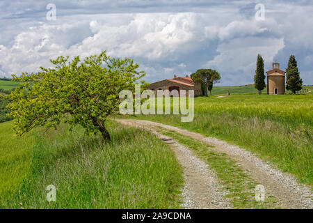 In the colorful southern Tuscany, there is the charming, small chapel of the Madonna di Vitaleta, San Quirico d'Orcia, Siena, Tuscany, Italy Stock Photo