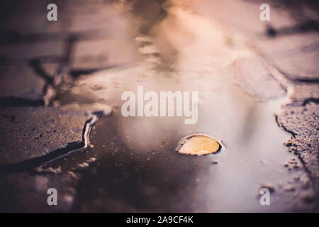 puddle with leaf on a stone road, reflection of light in water Stock Photo