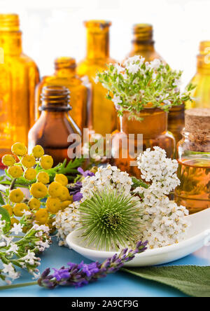 Natural healing herbs and oil Stock Photo